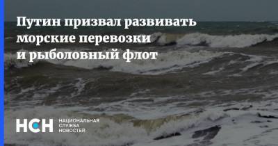 Владимир Путин - Путин призвал развивать морские перевозки и рыболовный флот - nsn.fm - Россия