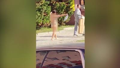 В Новосибирске женщина без одежды нападала на водителей - inforeactor.ru - Новосибирск