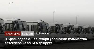 В Краснодаре с 1 сентября увеличили количество автобусов на 59-м маршруте - kubnews.ru - Краснодарский край - Краснодар