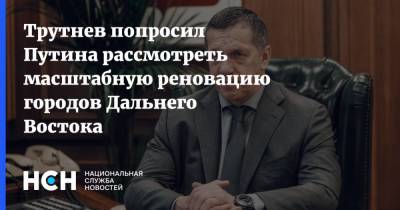 Владимир Путин - Юрий Трутнев - Трутнев попросил Путина рассмотреть масштабную реновацию городов Дальнего Востока - nsn.fm - Россия - окр. Дальневосточный - Дальний Восток