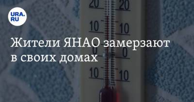 Жители ЯНАО замерзают в своих домах - ura.news - окр. Янао - Лабытнанги