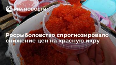 Илья Шестаков - Глава Росрыболовства Шестаков спрогнозировал снижение цен на красную икру и рыбу - smartmoney.one