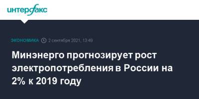 Николай Шульгинов - Минэнерго прогнозирует рост электропотребления в России на 2% к 2019 году - interfax.ru - Москва - Россия