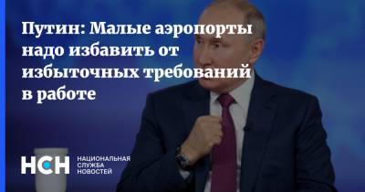 Владимир Путин - Путин: Малые аэропорты надо избавить от избыточных требований в работе - nsn.fm - Россия