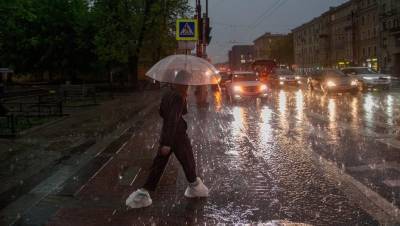 В пятницу 3 сентября в Петербурге ожидаются сильные дожди и ветер - dp.ru - Россия - Санкт-Петербург