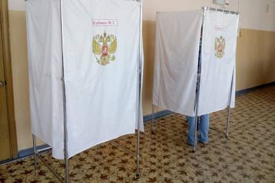 Будущие наблюдатели рассказали о том, насколько они готовы к выборам - aif.ru