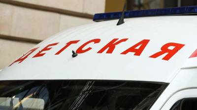 Собака откусила ухо ребенку в Перми - iz.ru - Израиль - Пермь