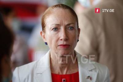 Михаил Саакашвили - Команда Саакашвили пошла ва-банк — посол США в Грузии довольна - eadaily.com - США - Грузия