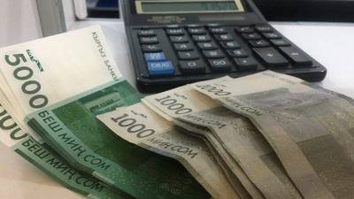 В Кыргызстане среднемесячная зарплата составила 229,5 доллара - trend.az - Киргизия
