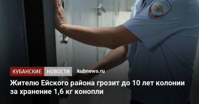 Жителю Ейского района грозит до 10 лет колонии за хранение 1,6 кг конопли - kubnews.ru - Россия - Краснодарский край - Ейск - район Ейский