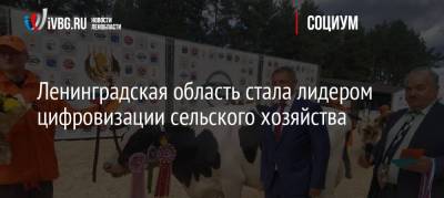 Ленинградская область стала лидером цифровизации сельского хозяйства - ivbg.ru - Россия - Украина - Ленинградская обл.