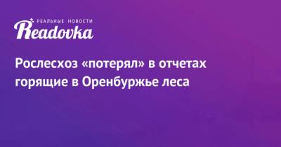 Рослесхоз «потерял» в отчетах горящие в Оренбуржье леса - readovka.news - Башкирия - Оренбургская обл.