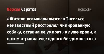 «Жители услышали визг»: в Энгельсе неизвестный расстрелял чипированную собаку, оставил ее умирать в луже крови, а потом отравил еще одного бездомного пса - nversia.ru - Саратовская обл.