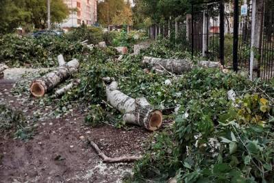 Жители улицы Зайцева пожаловались на спиленные деревья возле дома - vgoroden.ru - район Сормовский