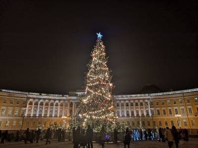 Власти Петербурга потратят ₽33 млн на покупку 14 искусственных елей - znak.com - Петербурга