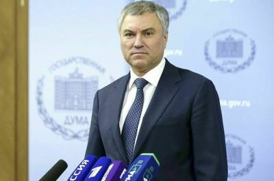 Вячеслав Володин - Володин: опыт Южной Кореи в ограничении IT-гигантов может быть использован в России - pnp.ru - Россия - Южная Корея