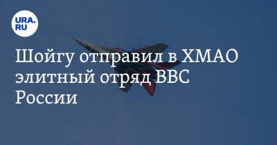 Сергей Шойгу - Наталья Комарова - Шойгу отправил в ХМАО элитный отряд ВВС России - ura.news - Россия - Сургут - Югра - Нижневартовск