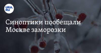 Синоптики пообещали Москве заморозки - ura.news - Москва - Россия - Московская обл.