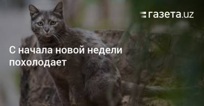 С начала новой недели похолодает - gazeta.uz - Узбекистан