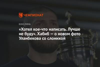 Хабиб Нурмагомедов - Тагир Уланбеков - «Хотел кое-что написать. Лучше не буду». Хабиб — о новом фото Уланбекова со слонихой - championat.com - Россия - Бразилия - Эмираты - Абу-Даби