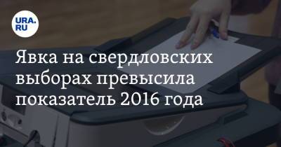 Явка на свердловских выборах превысила показатель 2016 года - ura.news - Свердловская обл.