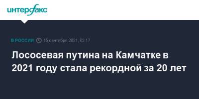 Лососевая путина на Камчатке в 2021 году стала рекордной за 20 лет - interfax.ru - Москва - Камчатский край