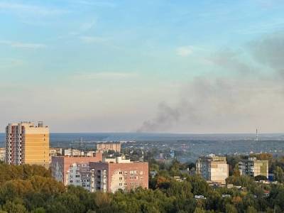 Артемовские Луга вспыхнули в Нижегородской области - vgoroden.ru - Нижегородская обл. - Экология