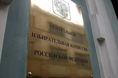 Антон Лопатин - ЦИК РФ: серьезных атак на ресурсы ведомства не наблюдаем - aif.ru - Россия