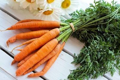 Зачем сажать морковь и лук на одной грядке: секрет знают опытные дачники - skuke.net