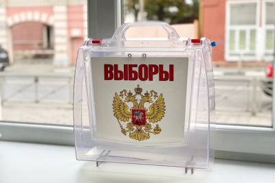 На выборах в Центральном районе Тулы нарушений не выявлено - tula.mk.ru - Тула - Тульская обл.
