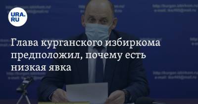 Глава курганского избиркома предположил, почему есть низкая явка - ura.news - Курганская обл.