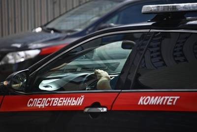 Александр Бастрыкин - Посадившей своих детей на цепь россиянке предъявили обвинение - lenta.ru - Россия - Санкт-Петербург