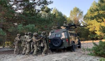 Украинские учения. К антироссийскому угару добавилась война с... - politnavigator.net - Россия - США - Украина - Крым - Белоруссия - Приднестровье - Донбасс