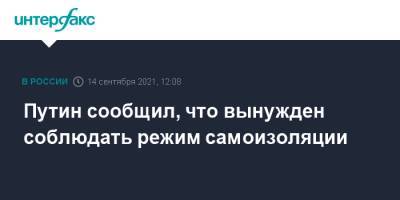 Владимир Путин - Эмомали Рахмон - Путин сообщил, что вынужден соблюдать режим самоизоляции - interfax.ru - Москва - Россия - Душанбе - Таджикистан