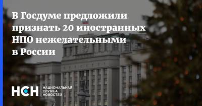 Василий Пискарев - В Госдуме предложили признать 20 иностранных НПО нежелательными в России - nsn.fm - Россия