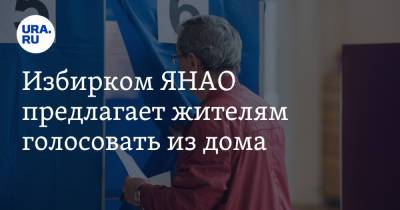 Избирком ЯНАО предлагает жителям голосовать из дома - ura.news - Россия - Тюмень - окр. Янао