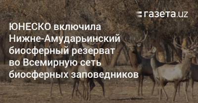ЮНЕСКО включила Нижне-Амударьинский биосферный резерват во Всемирную сеть биосферных заповедников - gazeta.uz - Узбекистан