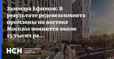 Владимир Ефимов - Заммэра Ефимов: В результате редевелопмента промзоны на востоке Москвы появится около 15 тысяч рабочих мест - nsn.fm - Москва