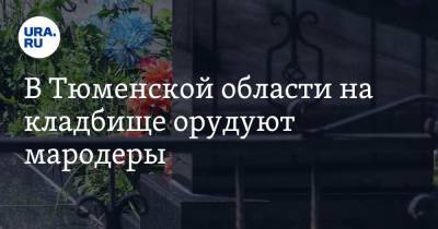 В Тюменской области на кладбище орудуют мародеры - ura.news - Тюменская обл. - Тобольск
