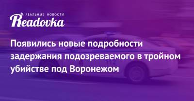 Появились новые подробности задержания подозреваемого в тройном убийстве под Воронежом - readovka.news - Воронеж - Воронежская обл.