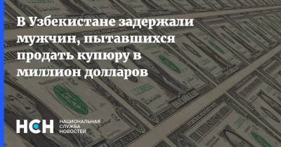 В Узбекистане задержали мужчин, пытавшихся продать купюру в миллион долларов - nsn.fm - США - Узбекистан - Самара - Ташкент