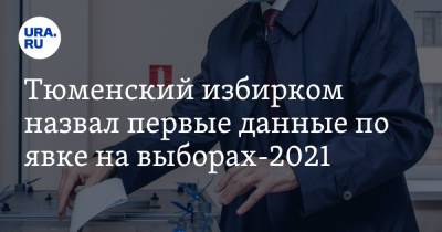 Тюменский избирком назвал первые данные по явке на выборах-2021 - ura.news - Россия - Тюменская обл.