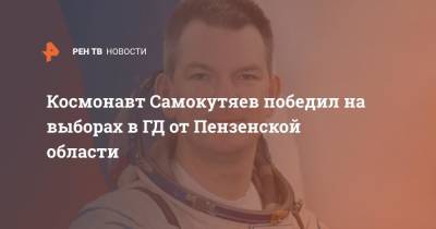 Космонавт Самокутяев победил на выборах в ГД от Пензенской области - ren.tv - Россия - Пензенская обл.