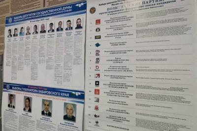 В Хабаровском крае пока не зафиксировали существенных нарушений на выборах - hab.mk.ru - Хабаровский край