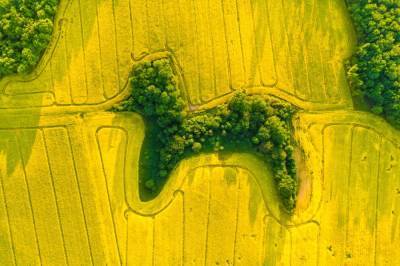 Искусство аэрофотосъемки: Лучшие работы конкурса Drone Photo Awards 2021 - techno.bigmir.net