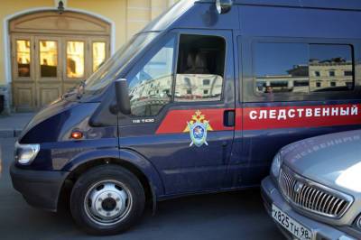 Следователям пришлось дважды посетить скандальный участок в Горелово - neva.today - Россия - Санкт-Петербург