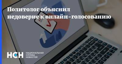 Политолог объяснил недоверие к онлайн-голосованию - nsn.fm - Россия - США - Канада