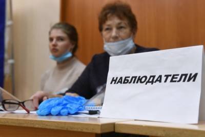 Более 5 тыс. наблюдателей зарегистрировано на выборах в Новосибирской области - interfax-russia.ru - Новосибирск - Новосибирская обл.