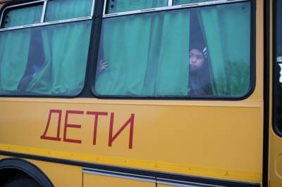 Александр Никитин - Более 60 новых школьных автобусов поступило в Тамбовскую область - interfax-russia.ru - Тамбов - Тамбовская обл.