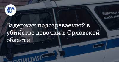 Ирина Волк - Задержан подозреваемый в убийстве девочки в Орловской области - ura.news - Россия - Орловская обл. - район Залегощенский